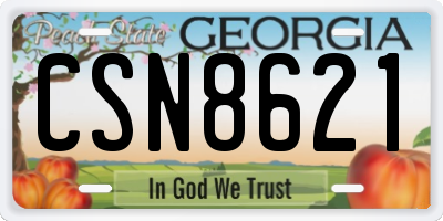 GA license plate CSN8621