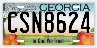 GA license plate CSN8624