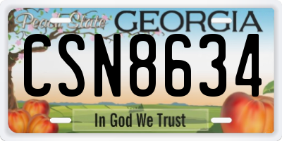 GA license plate CSN8634
