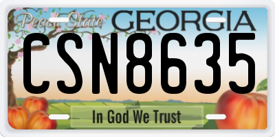 GA license plate CSN8635