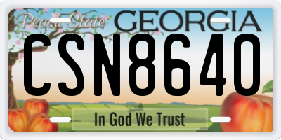 GA license plate CSN8640