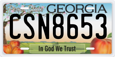GA license plate CSN8653