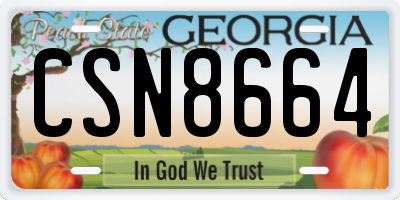 GA license plate CSN8664