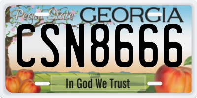 GA license plate CSN8666