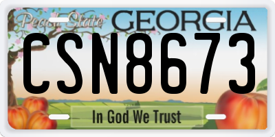 GA license plate CSN8673