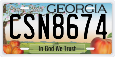 GA license plate CSN8674