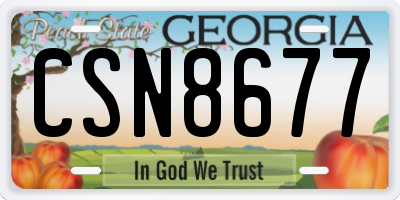 GA license plate CSN8677