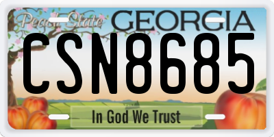 GA license plate CSN8685