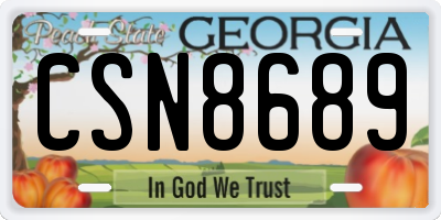 GA license plate CSN8689