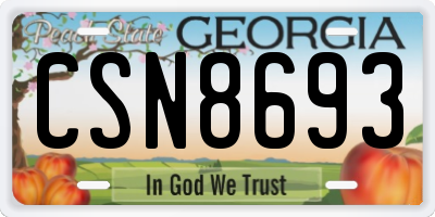 GA license plate CSN8693