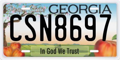 GA license plate CSN8697