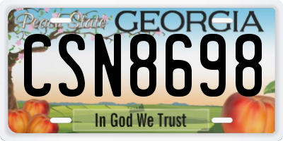 GA license plate CSN8698