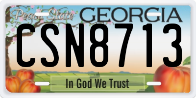 GA license plate CSN8713
