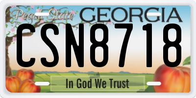 GA license plate CSN8718