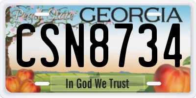 GA license plate CSN8734