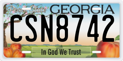 GA license plate CSN8742