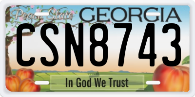 GA license plate CSN8743