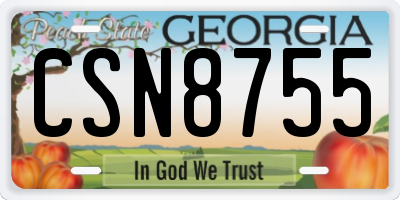 GA license plate CSN8755