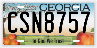 GA license plate CSN8757