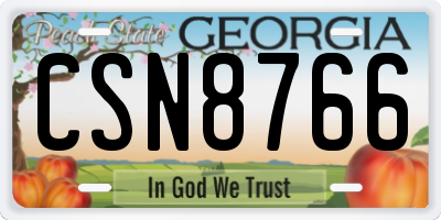 GA license plate CSN8766