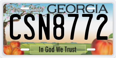 GA license plate CSN8772