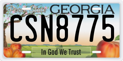 GA license plate CSN8775
