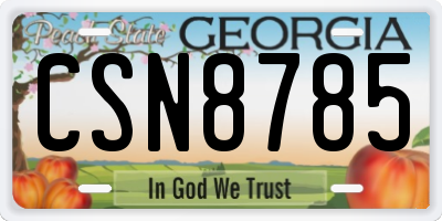 GA license plate CSN8785