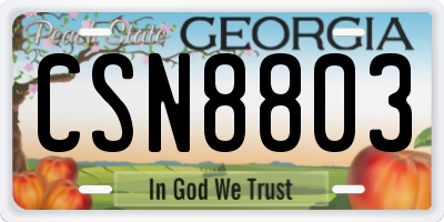 GA license plate CSN8803