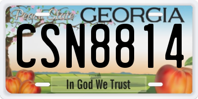 GA license plate CSN8814