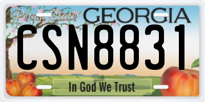 GA license plate CSN8831