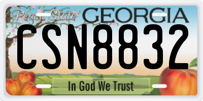 GA license plate CSN8832