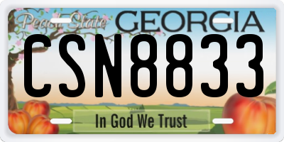 GA license plate CSN8833
