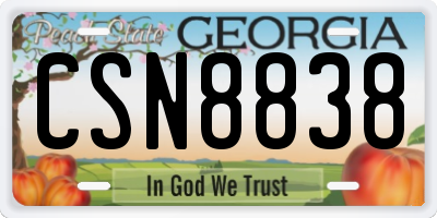 GA license plate CSN8838
