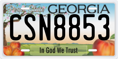 GA license plate CSN8853