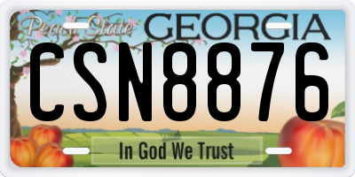 GA license plate CSN8876