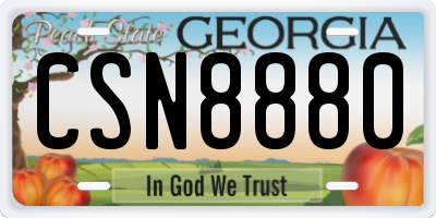 GA license plate CSN8880