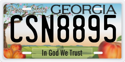 GA license plate CSN8895