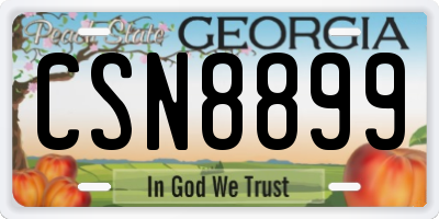 GA license plate CSN8899
