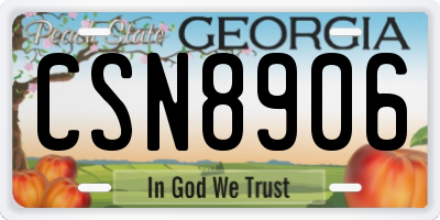 GA license plate CSN8906