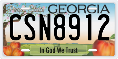 GA license plate CSN8912