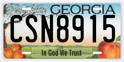 GA license plate CSN8915