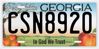 GA license plate CSN8920