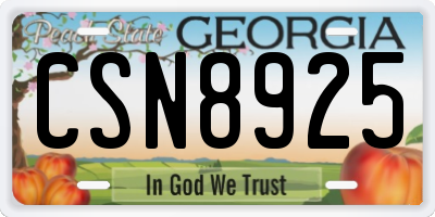 GA license plate CSN8925