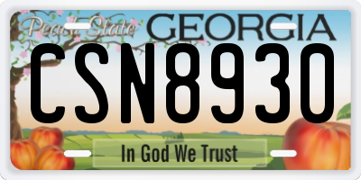 GA license plate CSN8930
