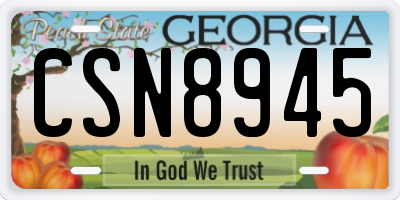 GA license plate CSN8945