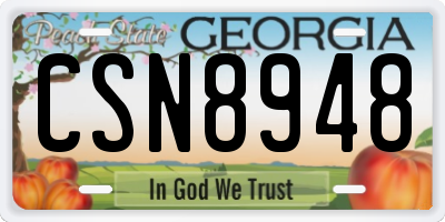 GA license plate CSN8948