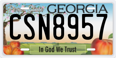 GA license plate CSN8957