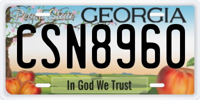 GA license plate CSN8960