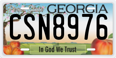 GA license plate CSN8976