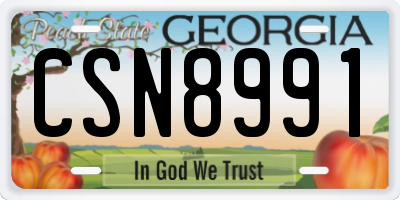 GA license plate CSN8991